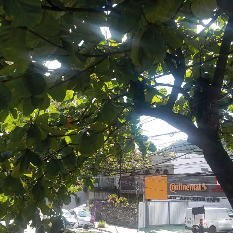 Imagem da publicação