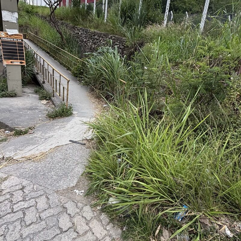 Imagem da publicação