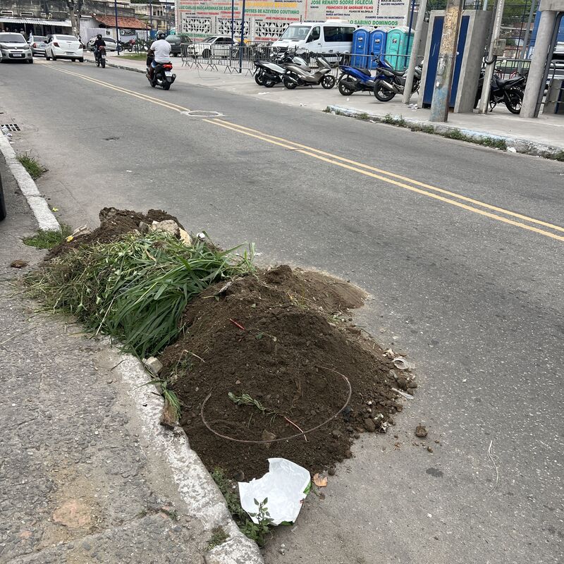 Imagem da publicação
