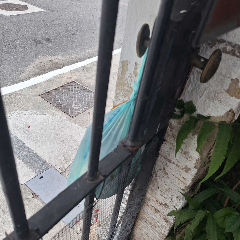 Imagem da publicação