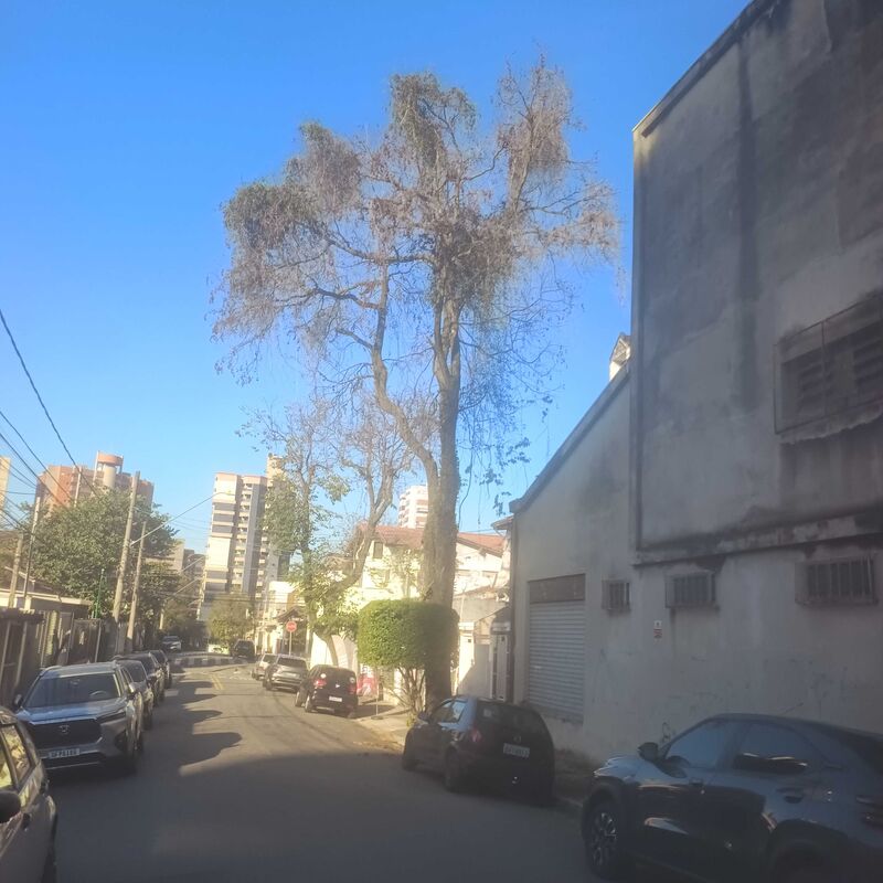 Imagem da publicação