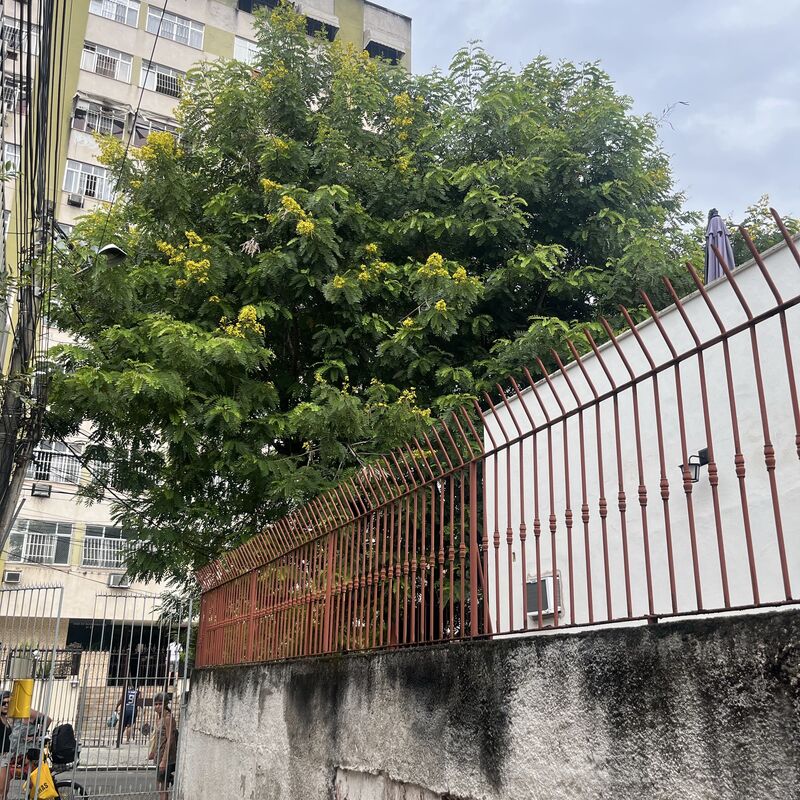 Imagem da publicação