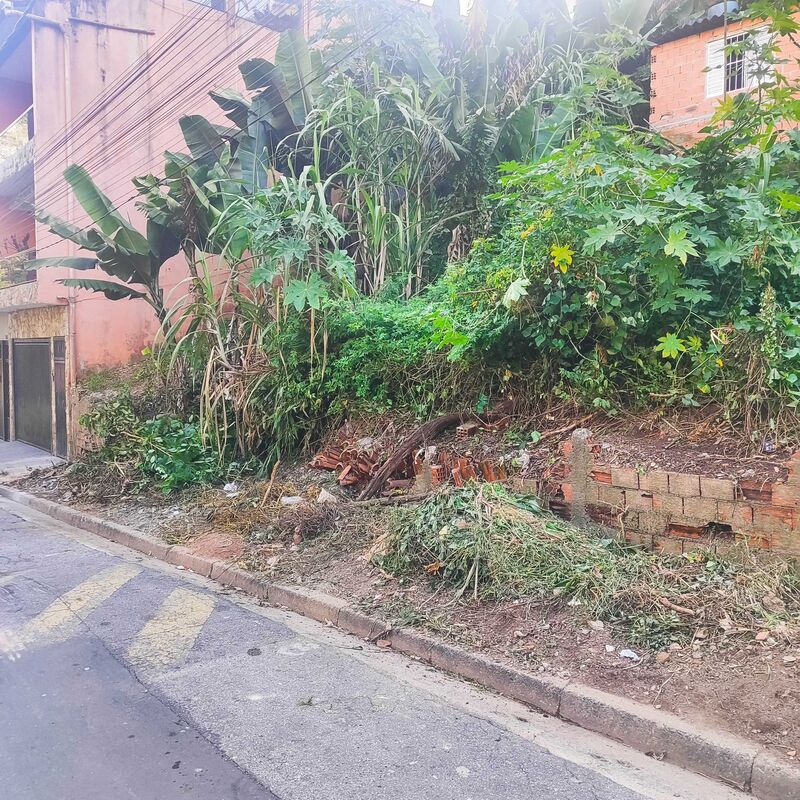 Imagem da publicação