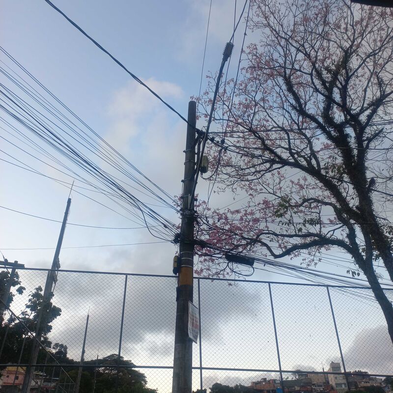 Imagem da publicação