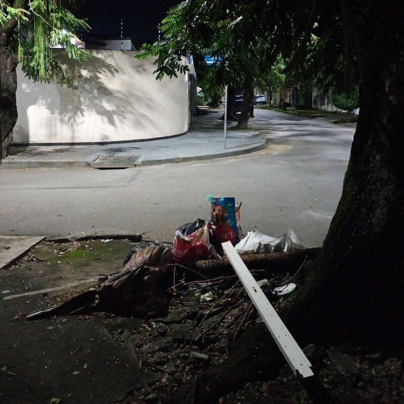Imagem da publicação