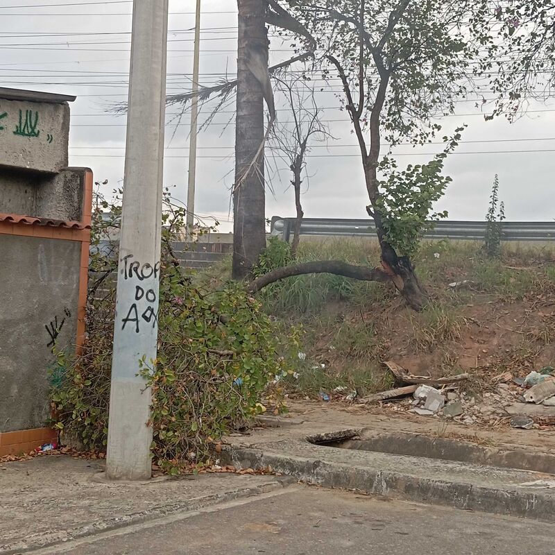 Imagem da publicação