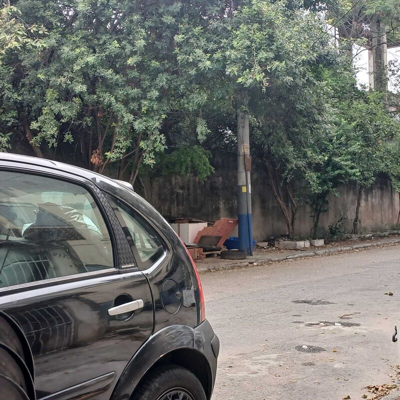 Imagem da publicação