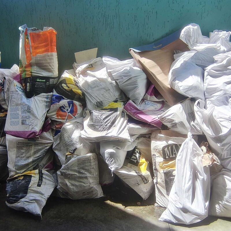 Imagem da publicação