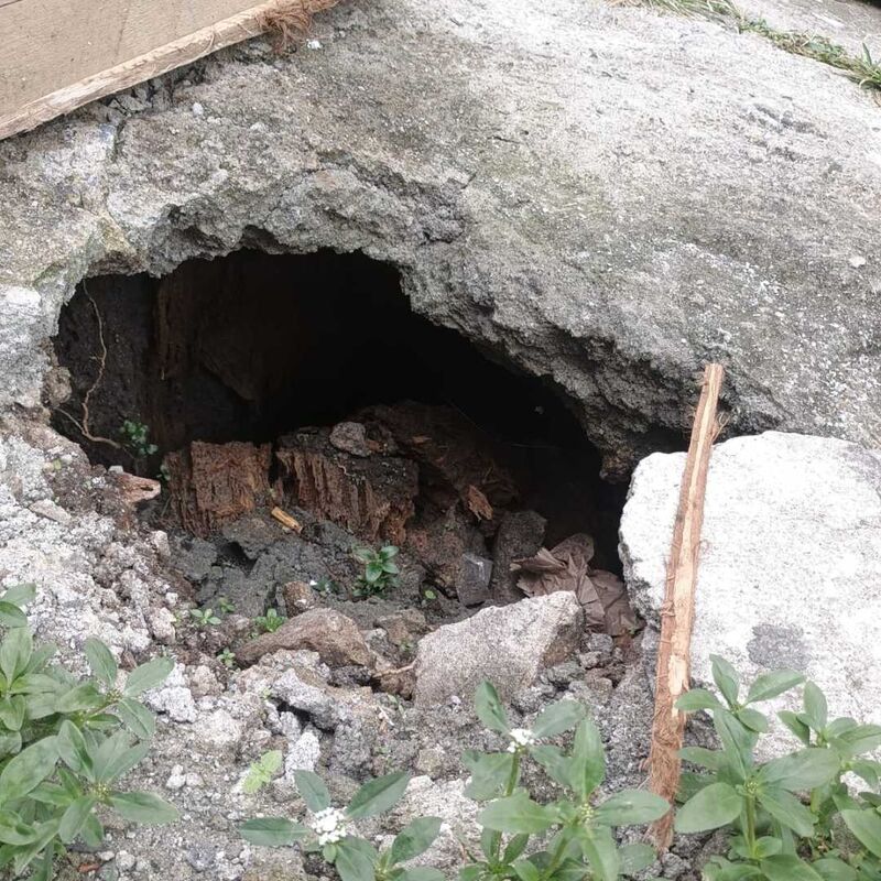 Imagem da publicação