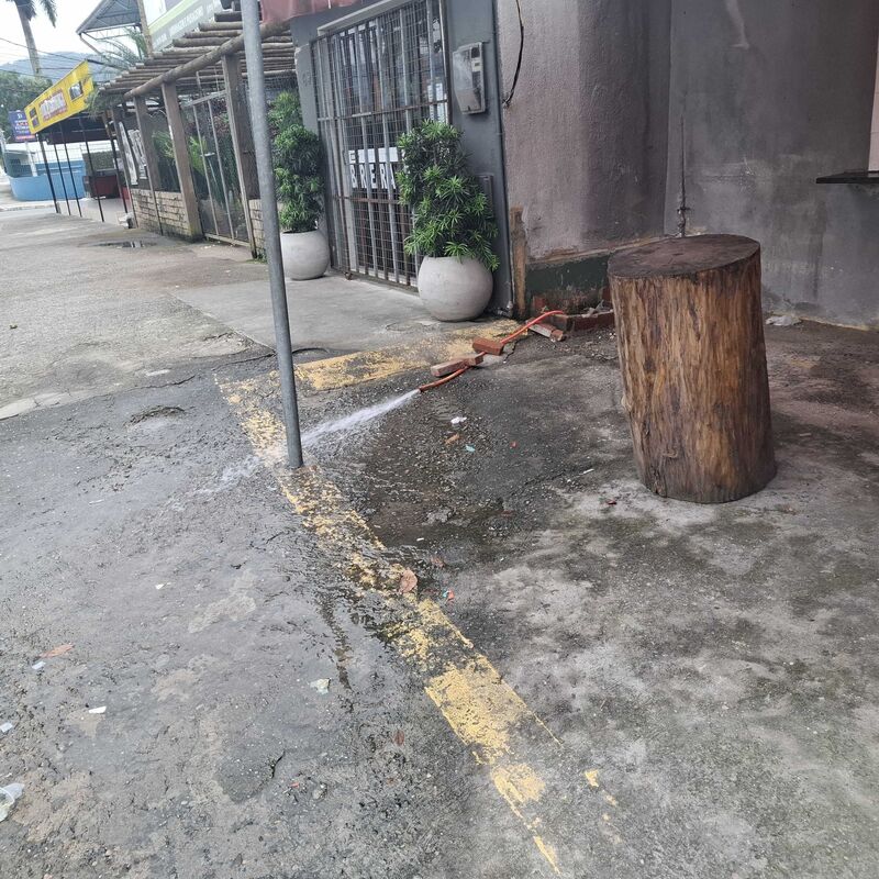 Imagem da publicação