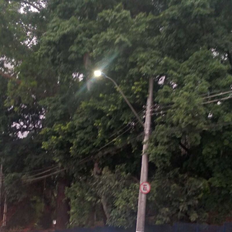 Imagem da publicação