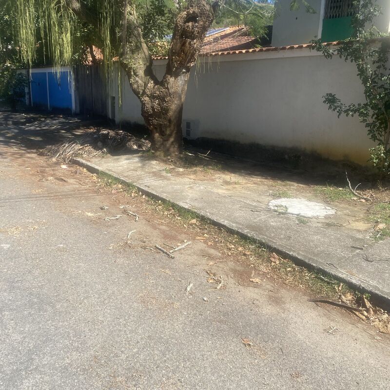 Imagem da publicação