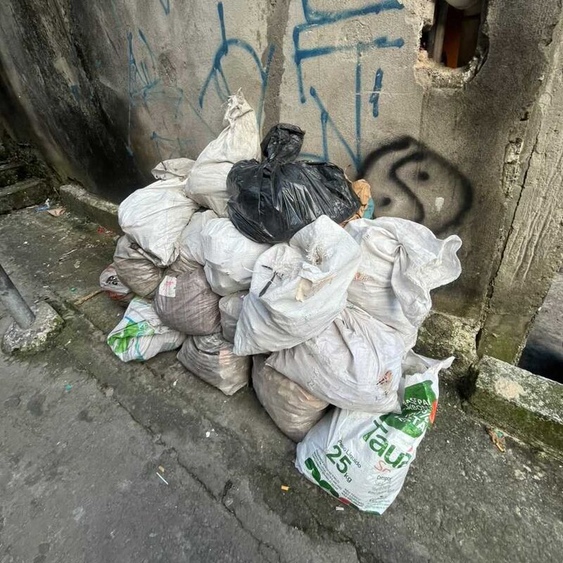 Imagem da publicação