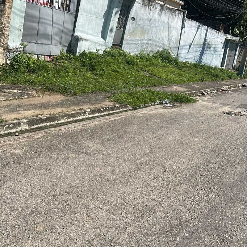 Imagem da publicação