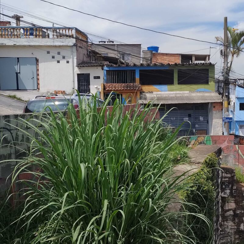 Imagem da publicação