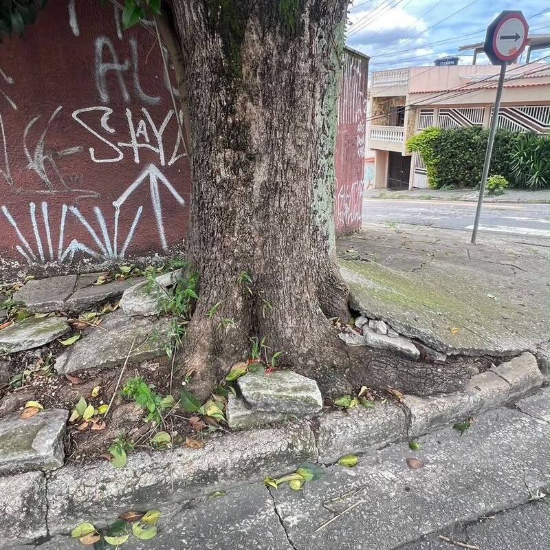 Imagem da publicação