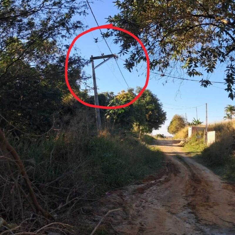 Imagem da publicação