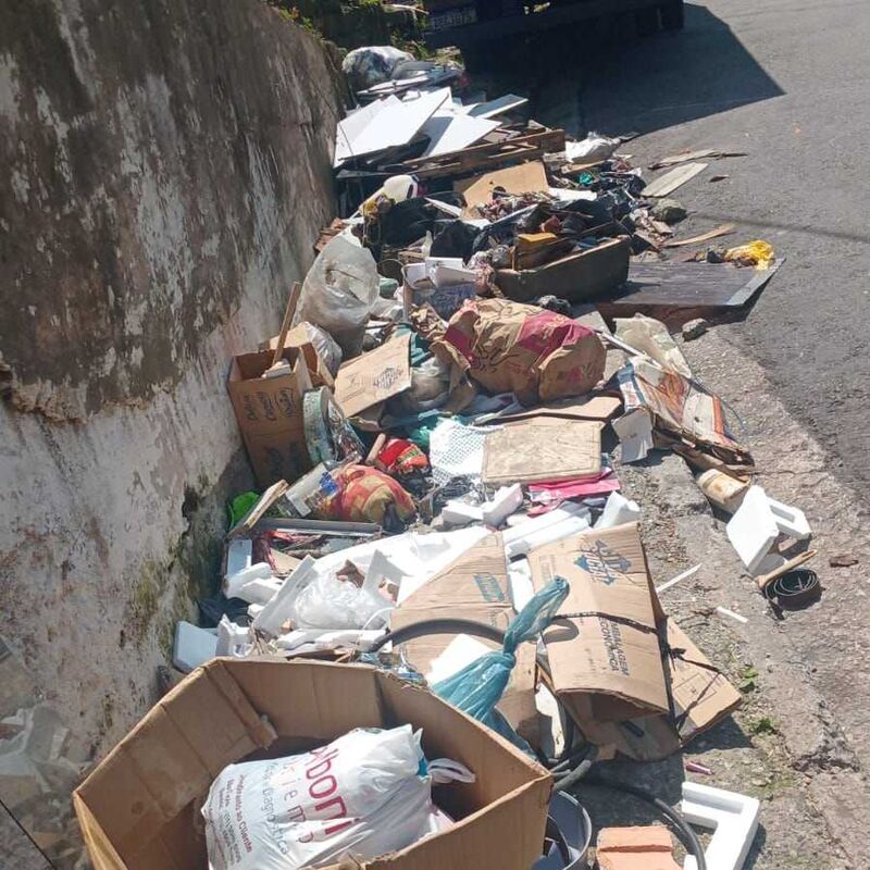 Imagem da publicação