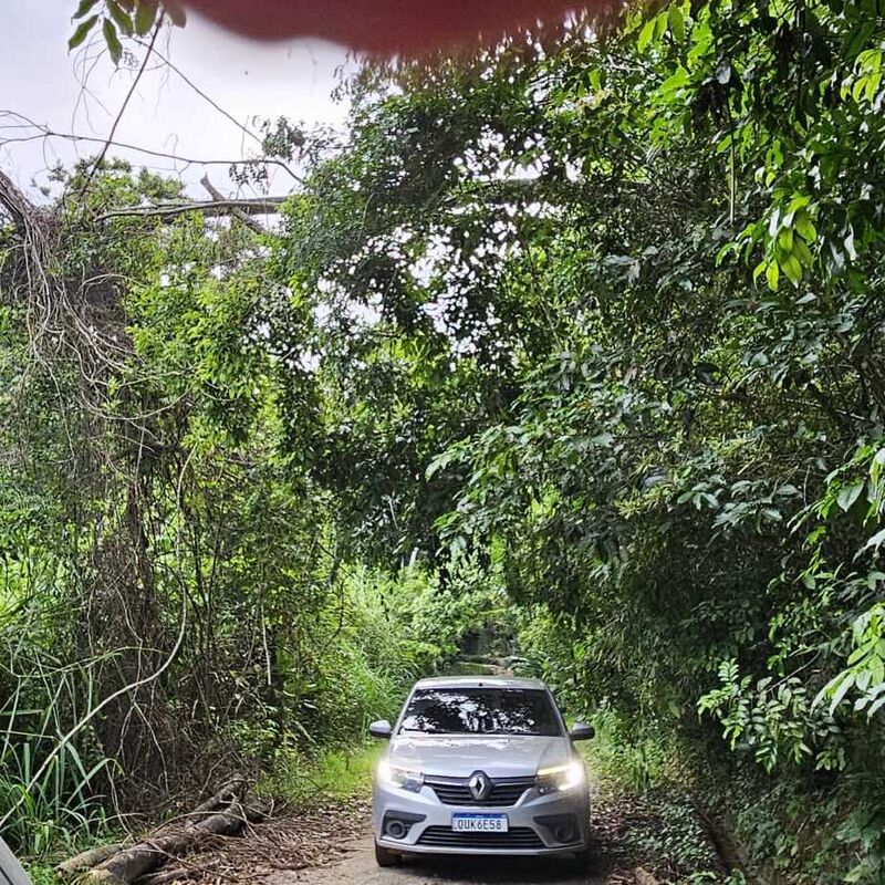 Imagem da publicação