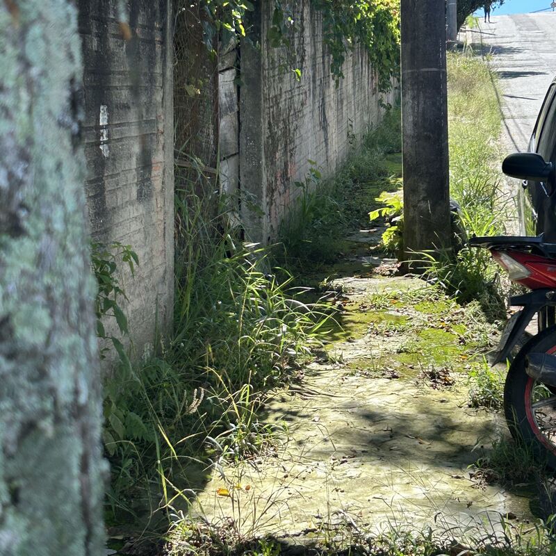 Imagem da publicação