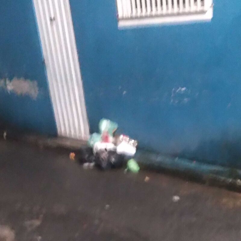 Imagem da publicação
