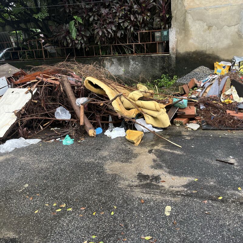 Imagem da publicação