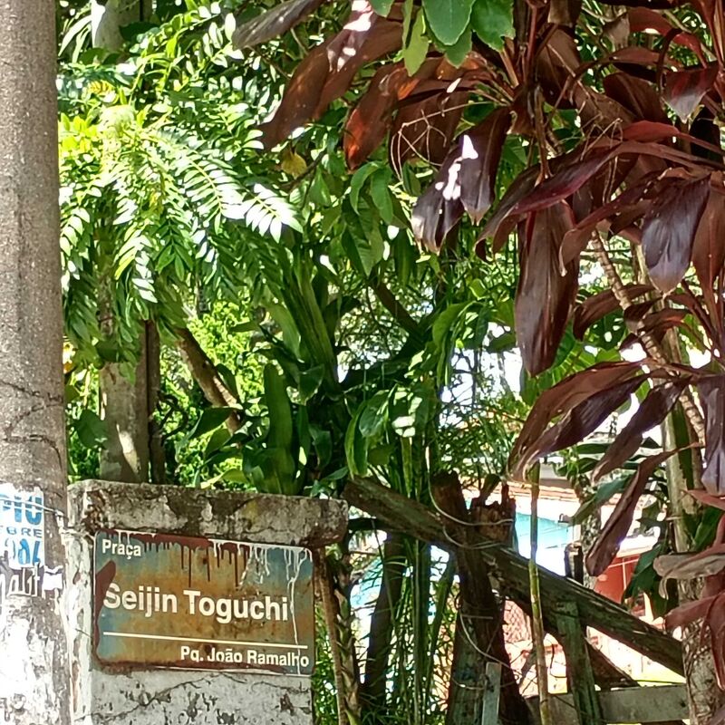 Imagem da publicação