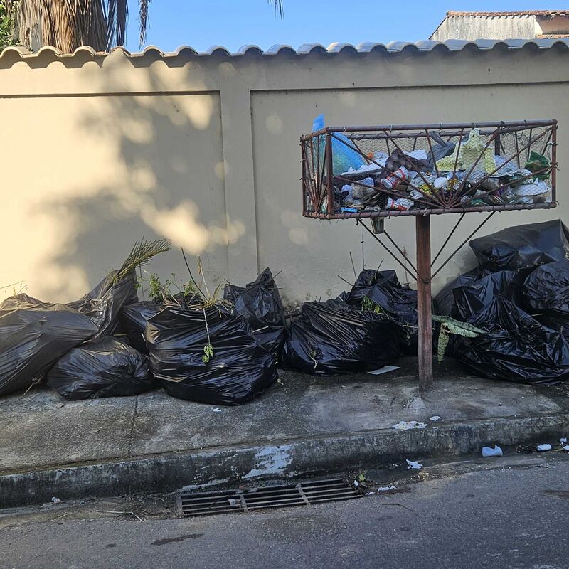 Imagem da publicação