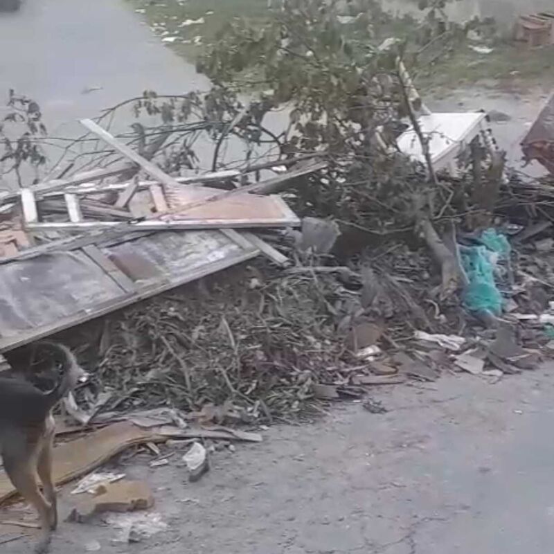 Imagem da publicação