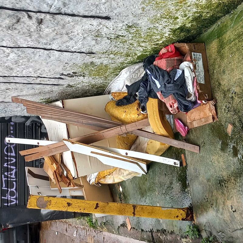 Imagem da publicação