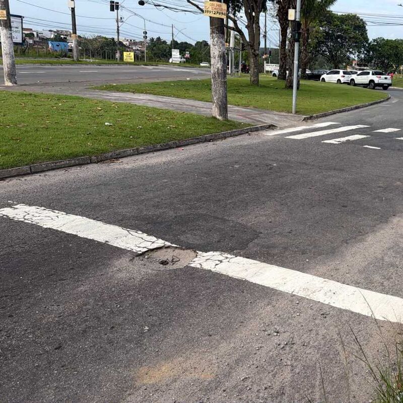 Imagem da publicação