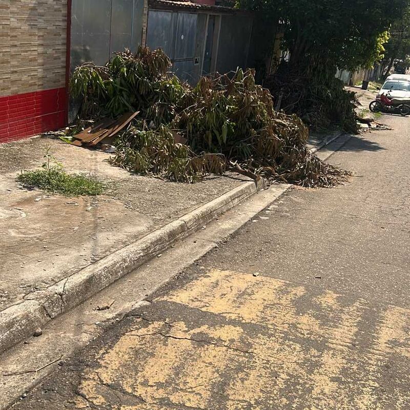 Imagem da publicação