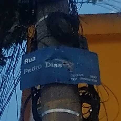 Imagem da publicação