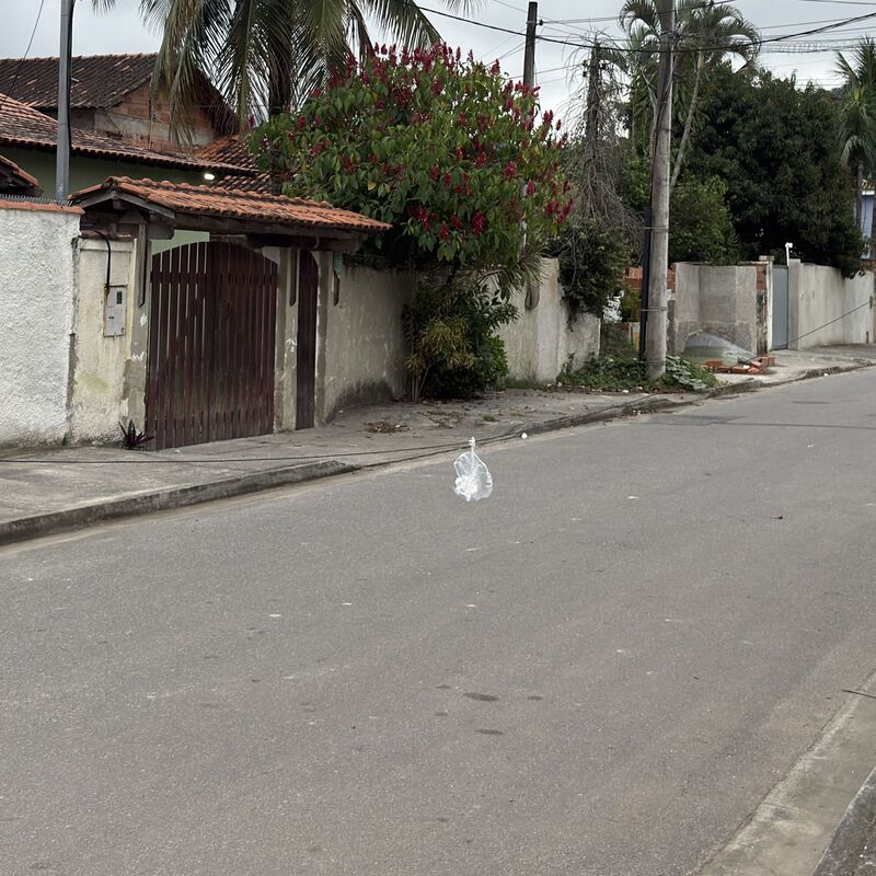 Imagem da publicação