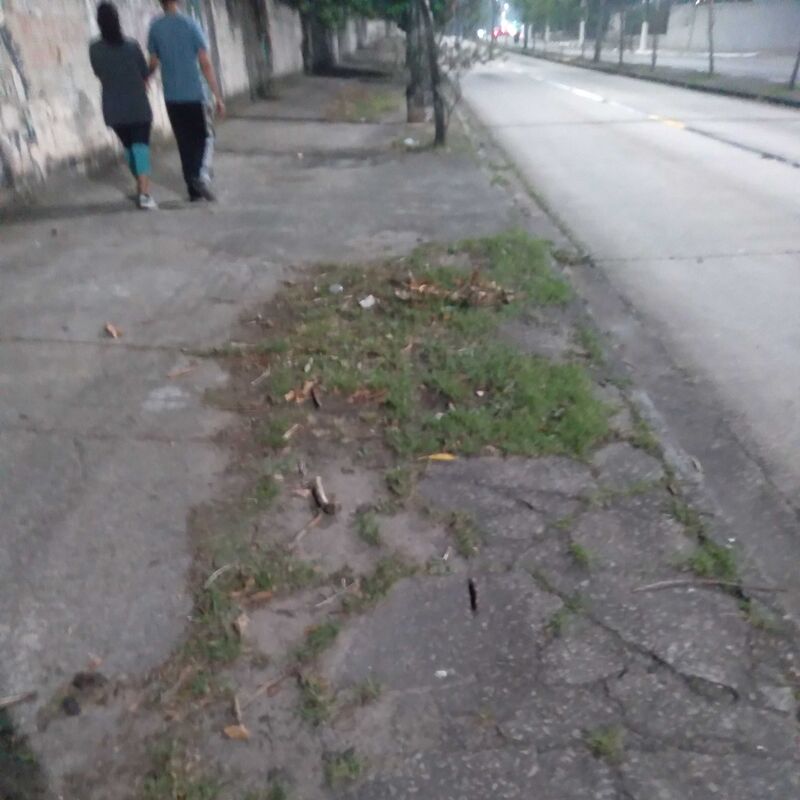 Imagem da publicação