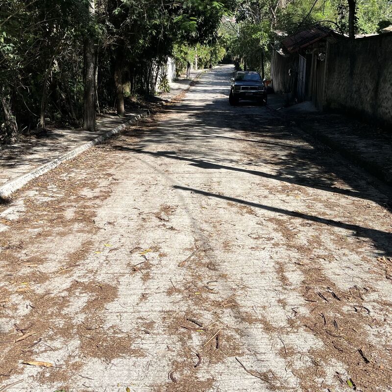 Imagem da publicação