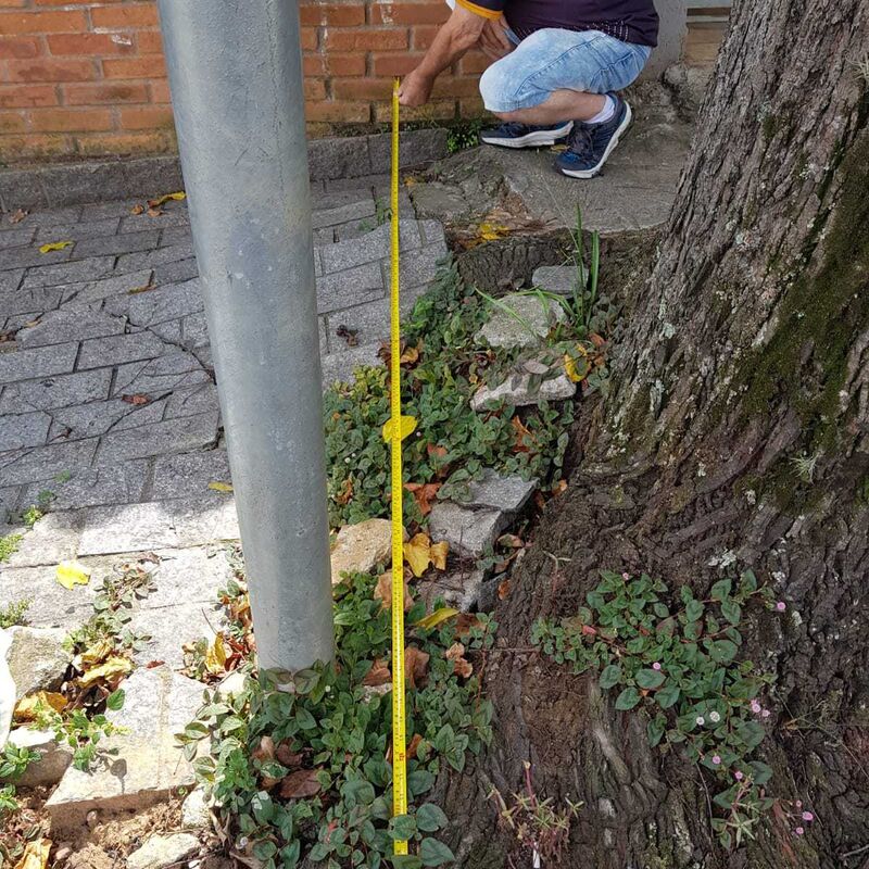 Imagem da publicação