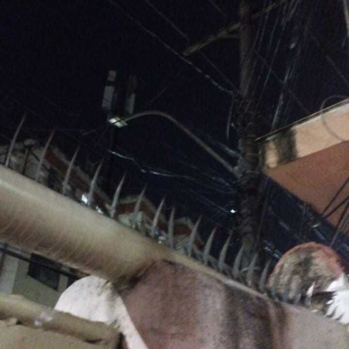 Imagem da publicação