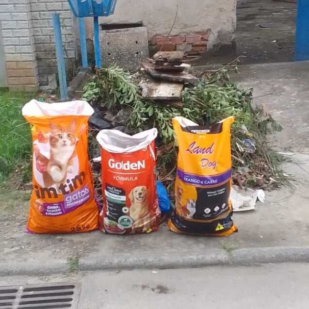 Imagem da publicação