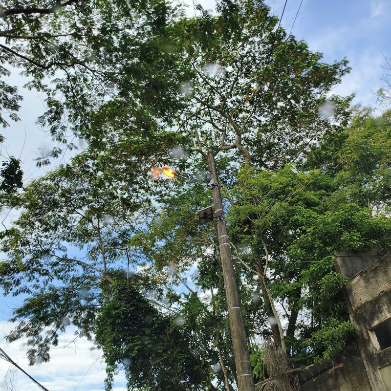 Imagem da publicação