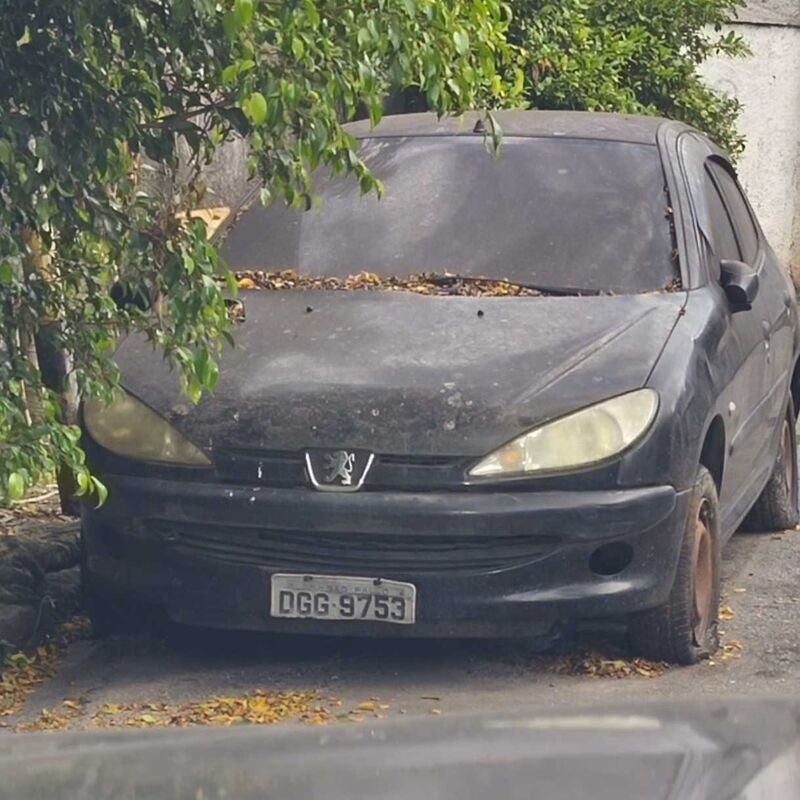 Imagem da publicação