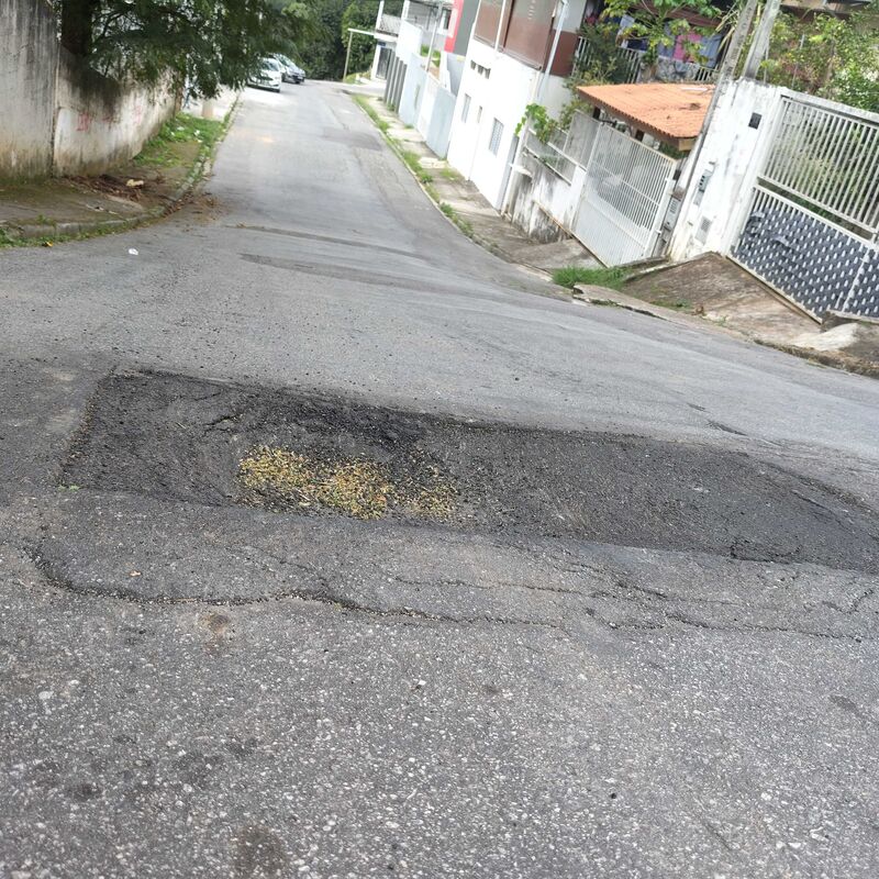 Imagem da publicação
