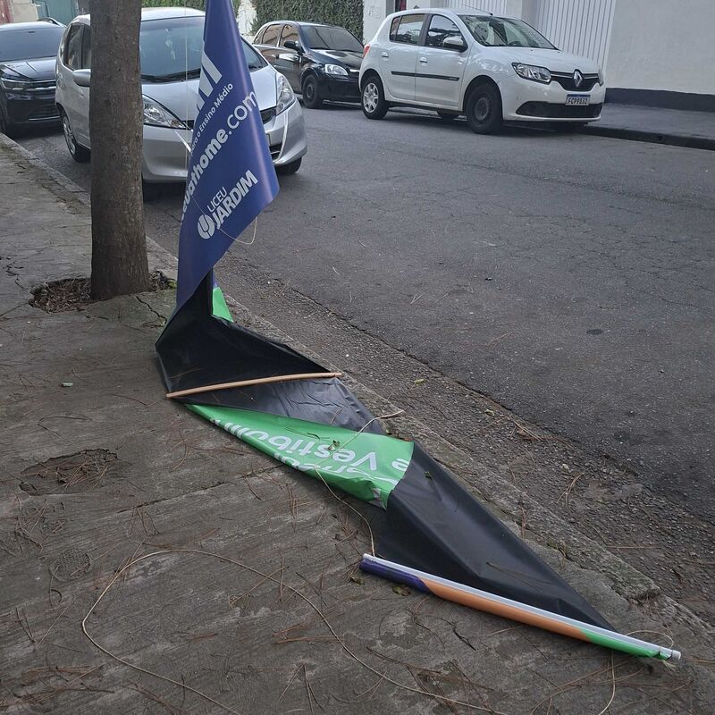 Imagem da publicação