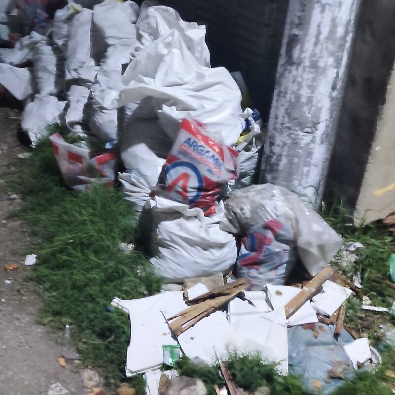 Imagem da publicação