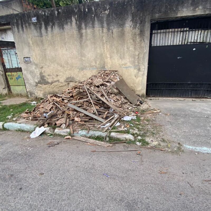 Imagem da publicação