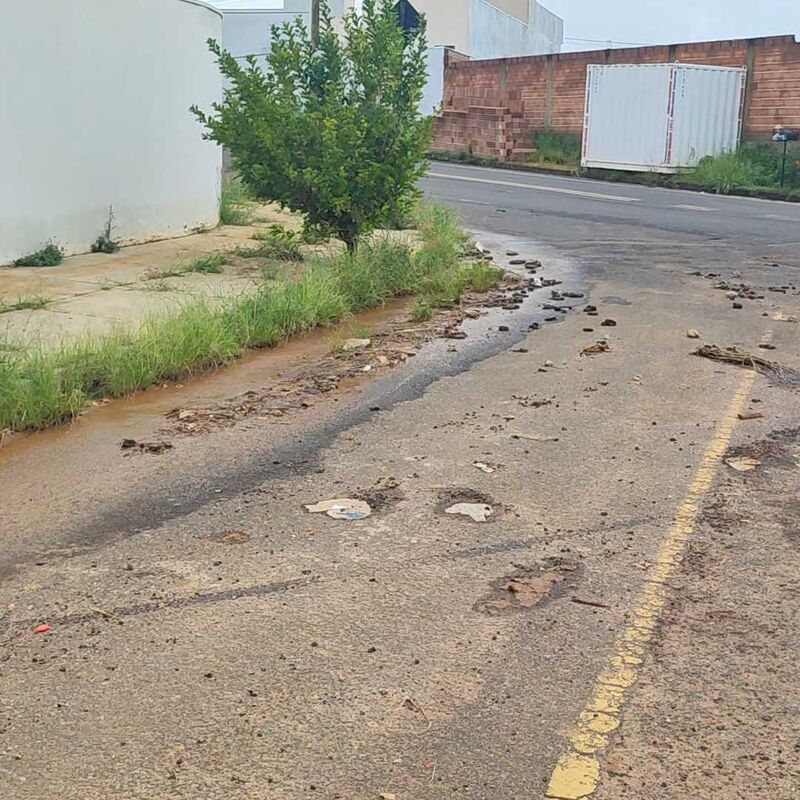 Imagem da publicação