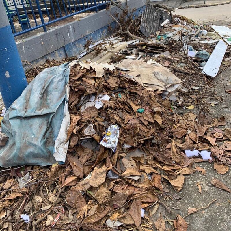 Imagem da publicação