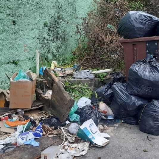 Imagem da publicação