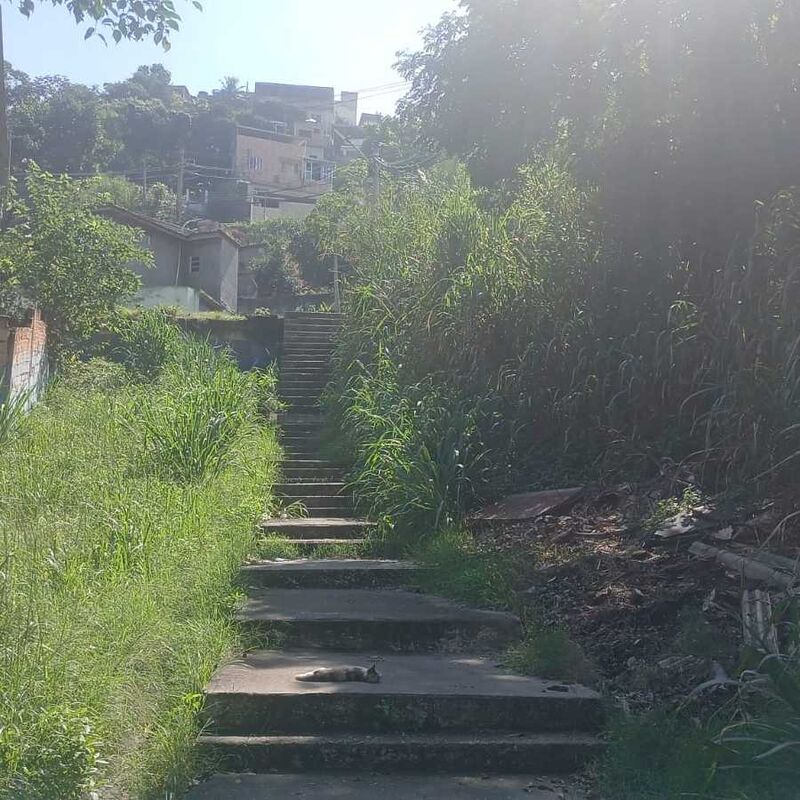 Imagem da publicação
