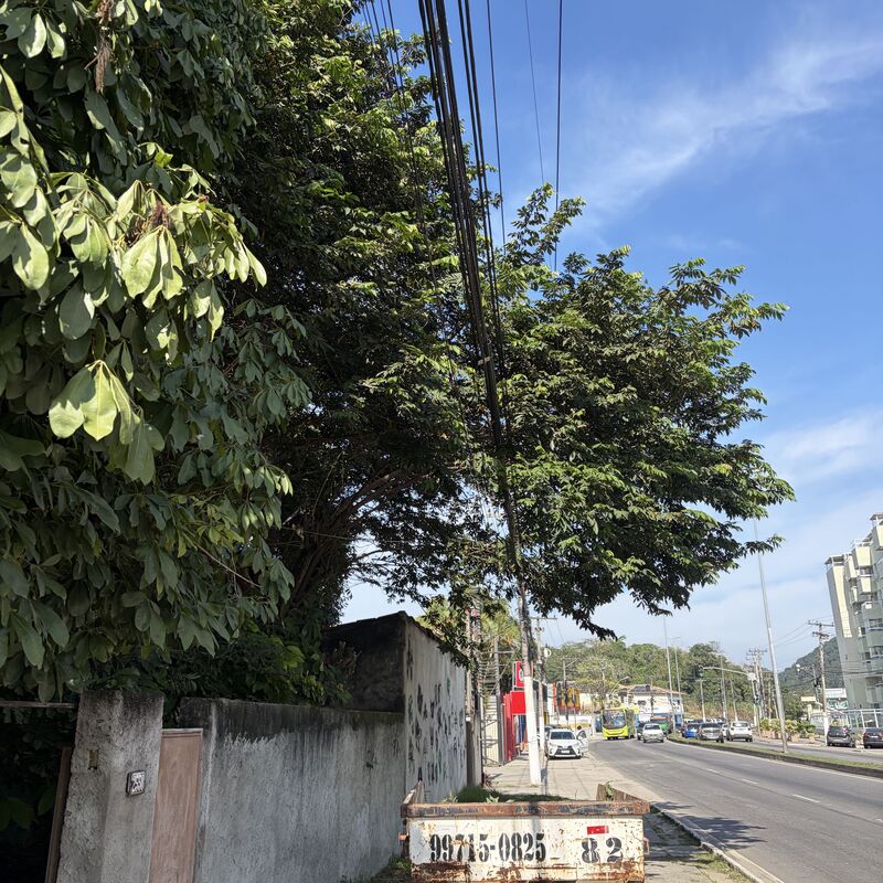 Imagem da publicação